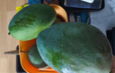 京鮮生 攀枝花凱特芒果 凈重8.5斤 帶箱9斤 單果400g+ 生鮮水果源頭直發(fā) 曬單實(shí)拍圖