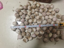 京覓 云南紫皮獨(dú)頭干蒜 含箱3斤果徑3.0mm+ 新鮮蔬菜生鮮 源頭直發(fā) 曬單實(shí)拍圖