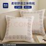海瀾之家（HLA）棉麻抱枕靠枕輕奢超柔簡(jiǎn)約靠背墊客廳靠枕套含芯純色靠包沙發(fā)靠墊 中華龍抱枕 枕套+枕芯【45*45cm】 曬單實(shí)拍圖