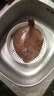 賣魚七郎 多寶魚凈重2.1斤共3條裝 海捕鮮活冷凍比目魚鰈魚 生鮮水產(chǎn)魚類 曬單實(shí)拍圖