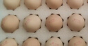 灣仔碼頭薺菜豬肉水餃1800g90只 早餐夜宵速凍餃子面點生鮮半成品 曬單實拍圖