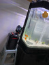 吉印刀鋒s魚缸燈led燈防水全光譜魚缸照明燈水草燈小型超白魚燈116cm 曬單實拍圖