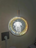 燈靈小吊燈吧臺氛圍燈led主臥室房間床頭吊線電鍍3D打印水晶球水母款 曬單實拍圖