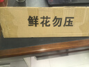 蟹爪蘭盆栽多色花卉植物室內(nèi)綠植好養(yǎng)活四季花卉螃蟹抓蓮 蟹爪蘭混色8株  不含盆 曬單實(shí)拍圖