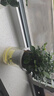 櫻霞【順豐上門(mén)】花卉植物室內桌面凈化空氣水培小綠植好養活驅蚊盆栽 【濃香組合】九里香+梔子花 帶盆 曬單實(shí)拍圖