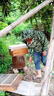 掰玉米防刮臉衣服專(zhuān)用農村下地干活帽透氣防曬護臉?lè )牢孟x(chóng)蜜蜂衣服防蚊子 【小花色】加厚防護服+網(wǎng)紗帽 曬單實(shí)拍圖
