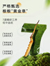 電商主圖設(shè)計詳情頁制作模板設(shè)計跨境電商主圖定制海報設(shè)計平面首頁裝修設(shè)計廣告圖投流主圖 主圖定制 曬單實(shí)拍圖