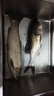 威拓森全新升級二代吳亞釣魚餌料浮釣鰱鳙綜合餌散炮大混養(yǎng)鯽鯉草鳊翹青 浮底抽心二代1400克果味 曬單實拍圖