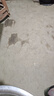 羅曼（ROAMAN）電動牙刷牙醫(yī)推薦48000高振頻護(hù)齦送情侶成人男女朋友生日七夕情人節(jié)禮物2刷頭家電國家補(bǔ)貼T3白 曬單實(shí)拍圖