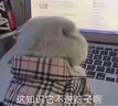 十月結晶一次性嬰兒口腔清潔器寶寶牙刷30支*2盒 曬單實拍圖