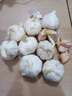 河南大蒜5斤蒜頭干大蒜2025年新蒜大蒜頭獨頭蒜紫皮農(nóng)家新鮮蔬菜 3斤 中果 曬單實拍圖