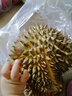 迎畔泰國金枕榴蓮鮮果 新鮮巴掌榴蓮金枕頭一整個(gè)孕婦時(shí)令水果 凈重3.2-4斤（包3-4房） 曬單實(shí)拍圖