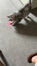華元寵具（hoopet）逗貓激光筆充電激光燈小貓咪玩具紅外線不傷眼逗貓棒寵物用品神器 曬單實(shí)拍圖