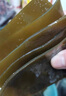 霞浦海帶天然日曬干海帶干貨特級(jí)厚無(wú)沙煲湯涼拌商用昆布海帶絲頭 1斤 曬單實(shí)拍圖