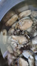 【扭扭鮑】鮮活大鮑魚1只（8-10頭/500g） 曬單實拍圖