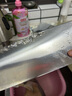 鮮喜愛 冷凍千島湖有機鰱魚頭1.5斤 白鰱魚頭  生鮮魚類 海鮮水產(chǎn) 曬單實拍圖
