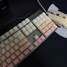羅技（Logitech）K845機(jī)械鍵盤(pán)游戲電競(jìng)有線(xiàn)鍵盤(pán)電腦辦公鍵盤(pán)個(gè)性定制鍵帽版送男生女友禮物 K845彼岸櫻漸變版 青軸 曬單實(shí)拍圖