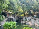 官參堂 大連底播即食海參新鮮遼刺參海鮮水產(chǎn)禮盒 1500g 27-36只 甄選 曬單實(shí)拍圖
