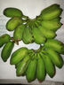 傾睦廣西小米蕉自然熟軟糯香甜粉蕉現(xiàn)摘青皮發(fā)貨寶寶輔食孕婦新鮮水果 5斤精品【50-70根】 曬單實拍圖
