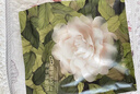 babycare山茶花一次性?xún)?nèi)褲女孕產(chǎn)婦月子待產(chǎn)出差旅行XL碼15條【安全滅菌】 曬單實(shí)拍圖