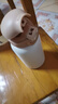 史努比（SNOOPY）兒童保溫杯帶吸管直飲男女小學(xué)生316不銹鋼喝水杯子雙蓋壺500ml咖 曬單實(shí)拍圖
