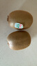 佳沛（zespri）綠奇異果特大果22-25個原箱裝單果約133-176g 水果禮盒獼猴桃 曬單實(shí)拍圖