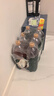 秋林格瓦斯 格瓦斯 俄羅斯風味 面包發(fā)酵飲料 1.5L*6瓶 整箱裝 曬單實拍圖