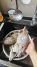 舟山梭子蟹鮮活特大野生大螃蟹新鮮冷凍海鮮水產(chǎn)海蟹飛蟹白蟹順豐 7-9兩/只【5斤凈重 特大肥壯】 曬單實拍圖