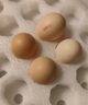 京鮮生 無抗保潔鮮雞蛋30枚/盒 健康輕食 禮盒送禮 1.5kg/盒 源頭直發(fā) 曬單實拍圖