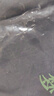 夢(mèng)舒雅女褲商場(chǎng)同款四面彈棕色西裝休閑褲修身松緊腰氣質(zhì)百搭微喇褲女 曬單實(shí)拍圖