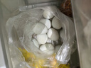 生鮮鴨蛋綠殼多新鮮農家土鴨蛋生鴨蛋水生態(tài)麻鴨蛋草現撿現發(fā) 現撿鮮鴨蛋30枚 約80克 曬單實(shí)拍圖