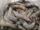 鮮馳 國(guó)產(chǎn)青島大蝦 大號(hào)白蝦 氣凍2030規(guī)格 去冰凈重3斤盒裝-源頭直發(fā) 曬單實(shí)拍圖