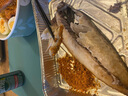 彩海挪威進(jìn)口青花魚片鯖魚新鮮冷凍大號(hào)鮐鲅魚日式鹽漬青占魚燒烤海鮮 1000g【5片裝190g-220g/片】?jī)糁?曬單實(shí)拍圖