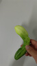 香奈兒（Chanel）可可小姐炫光唇膏（90號(hào)溫柔肉桂粉）3g 口紅 生日禮物送女友老婆 曬單實(shí)拍圖