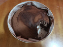 鮮京采巧克力千層蛋糕400g 6寸 冰淇淋蛋糕糕點(diǎn)零食慕斯 七夕禮物 曬單實(shí)拍圖