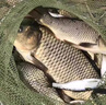 漫悠客船釣魚打窩船帶探魚器帶gps定位自動(dòng)返航測(cè)水深船釣魚船3-4人 橙色 （裸船不含天線、遙控器等） 0mA 曬單實(shí)拍圖