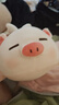 名創(chuàng)優(yōu)品（MINISO）小豬B-BO翅膀款趴毛絨公仔玩具玩偶抱枕娃娃送女友兒童生日禮物女 曬單實(shí)拍圖