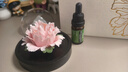 Para Ella【永生花】陶瓷牡丹生日禮物女生伴手禮實(shí)用七夕情人節(jié)媽母親教師 曬單實(shí)拍圖