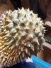 榴鮮生（Liuxiansheng）金枕頭榴蓮 泰國進(jìn)口帶殼整個(gè)新鮮榴蓮當季榴蓮盲盒新鮮水果 2-3斤 巴掌迷你果 曬單實(shí)拍圖