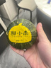 甜小南【熱銷100W+】山西正宗貝貝南瓜板栗味小南瓜貝貝嬰兒輔食香甜 京選款 3-7個(gè)果 2.1斤 曬單實(shí)拍圖