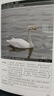 親近大自然系列：野外觀(guān)鳥(niǎo)手冊（第二版）20目72科368種中國鳥(niǎo)類(lèi) 識別要點(diǎn) 生態(tài)特征 分布棲息地 最佳觀(guān)鳥(niǎo)時(shí)間及地區等要點(diǎn)展開(kāi) 曬單實(shí)拍圖