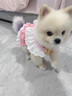 寵物貓咪狗狗衣服薄款牛仔牽引裙公主小型幼犬泰迪博美比熊春夏裝 HN甜心牛仔胸背裙-粉色 M碼(大約適合4-5斤) 曬單實拍圖