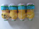 金豆芽兒童金銀花柚子汁155ml*16瓶禮盒夏天孩子飲料寶寶零食果汁西柚汁 曬單實(shí)拍圖