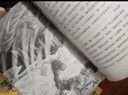 四季書香 四升五 中國民間故事寶蓮燈 歐洲民間故事狼和小山羊 非洲民間故事貪心的木匠 列那狐的故事狡黠狐的生存博弈 行走的月光靜悄悄少年的成長牧歌 升級版 2025暑假四季書香四升五5本套裝 曬單實拍圖