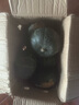 京鮮匠【JD快遞】山東真貝貝南瓜正宗 栗香粉糯小南瓜 新鮮蔬菜源頭直發(fā) JD快遞 性價比 凈 4.5斤 (4-9個) 曬單實拍圖