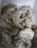GUO LIAN國聯(lián) 生鮮鹽凍大蝦 無冰凈重3斤 鹽凍特大號45-60只 海產(chǎn)冷凍蝦 曬單實拍圖