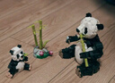 樂高（LEGO）積木拼裝31165 野生動(dòng)物熊貓家族男孩女孩兒童玩具生日禮物 曬單實(shí)拍圖