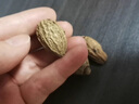 胖東來(lái)品質(zhì)淫花果頂天柱回春草中藥材云南野生泡酒料的功效蟲(chóng)草參 【大罐3罐】淫花果+頂天柱+回春草各250g 曬單實(shí)拍圖