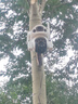 霸天安4G太陽能攝像頭 監(jiān)控室外免插電無需連wifi終身免流量 監(jiān)控器360度無死角帶夜視 全景追蹤手機(jī)遠(yuǎn)程 曬單實(shí)拍圖