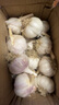 大蒜價(jià)格打下來(lái)了】山東紫皮大蒜頭批發(fā)新鮮蒜頭紅皮蒜種子蔬菜 金鄉正宗大蒜帶箱3斤 大果 曬單實(shí)拍圖